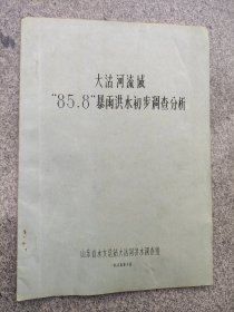 大沽河流域85.8暴雨洪水初步调查分析