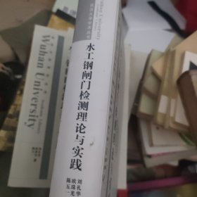 水工钢闸门检测理论与实践