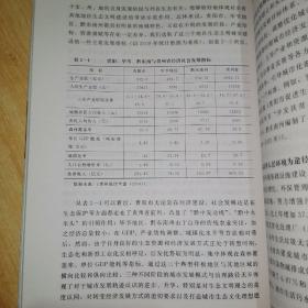 生态文明城市建设与地方政府治理：西部地区的现实考量