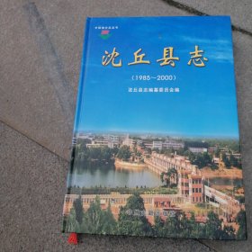 沈丘县志:1985~2000