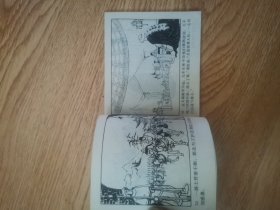 岳传之十一:杨再兴