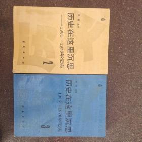 历史在这里沉思1966－1976（第2、3卷）