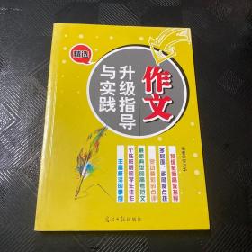 作文升级指导与实践