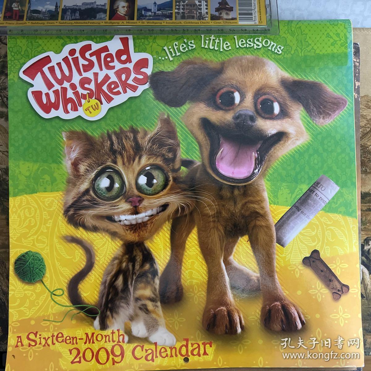 挂历 扭曲猫狗Twisted Whiskers ...Life's Little Lessons 2009 Calendar