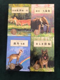 动物小说大王沈石溪·品藏书系【共4册合售】再被狐狸骗一次/斑羚飞渡/第七条猎狗/最后一头战象