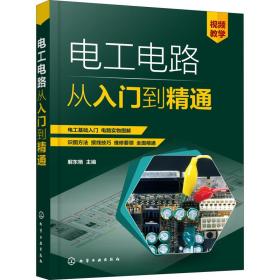 电工电路从入门到精通 电子、电工 解东艳主编