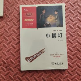 小橘灯（中小学生课外阅读指导丛书）彩插无障碍阅读 智慧熊图书