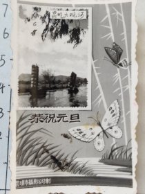 1964年照片中的照片昆明大观河帆船航行远处西山清晰可见“放明，祝你思想进步，学习优秀，昆雄”“恭祝元旦”