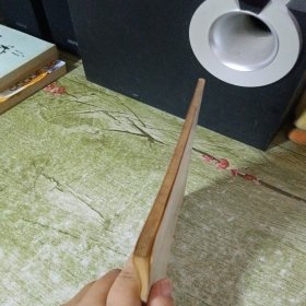 陆游诗词选注