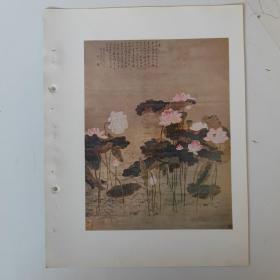 民国 中华名画散页15《中华名画-史德匿藏品影本》黄宾虹吴衡之等协助下精印