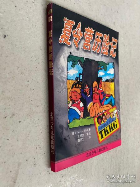 夏令营历险记（少年侦探丛书 第二辑）