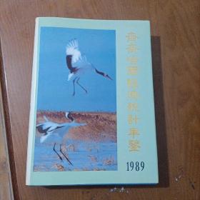 《齐齐哈尔经济统计年鉴》1989年