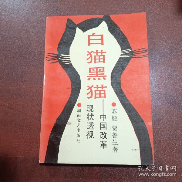 白猫黑猫:中国改革现状透视