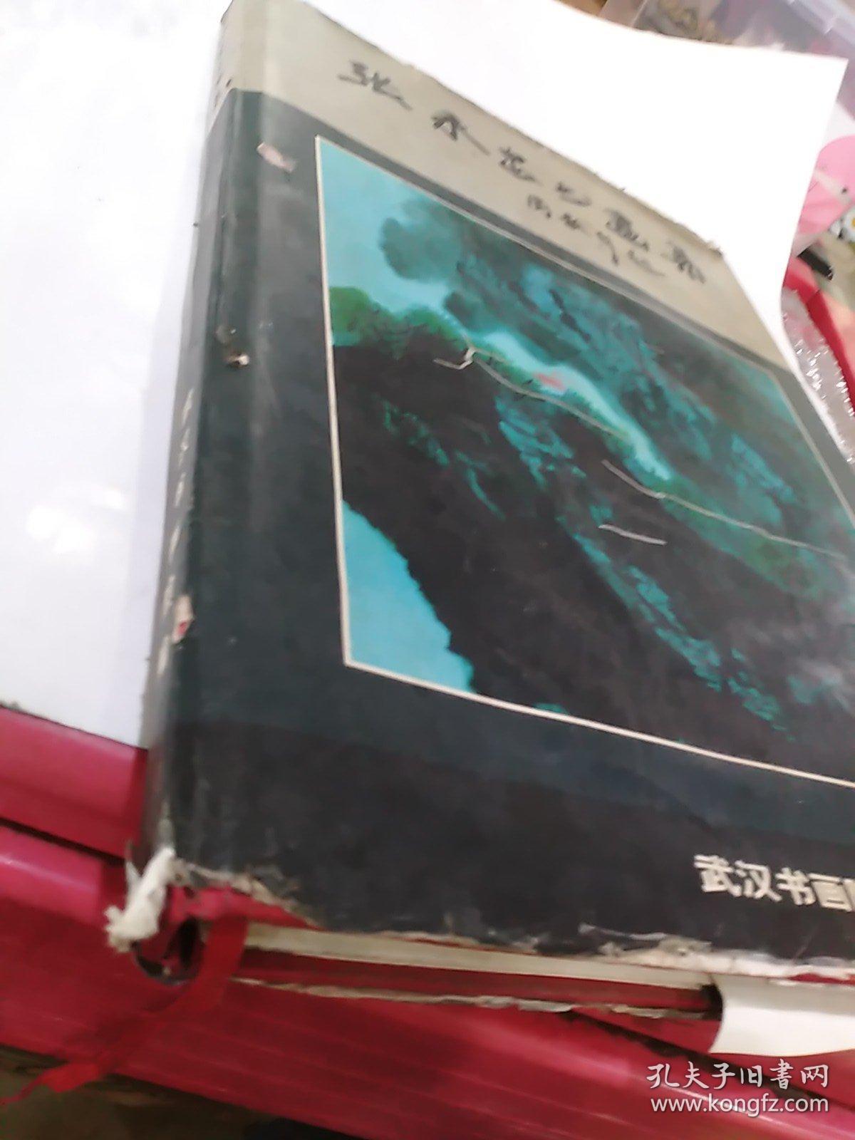 张永忠书画集(品不好，慎拍)