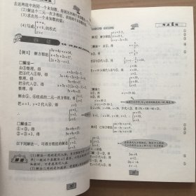 讲透重点难点·初中数学：方程与不等式