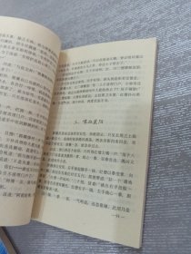 一代宗师未了情 上下（神雕侠侣续集）