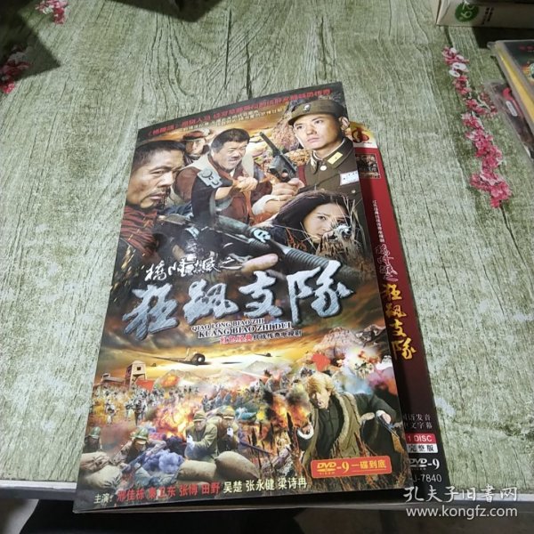 DVD 狂飙支队