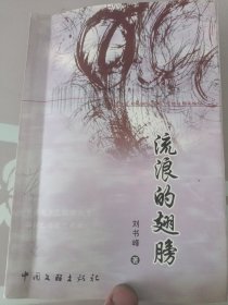 流浪的翅膀