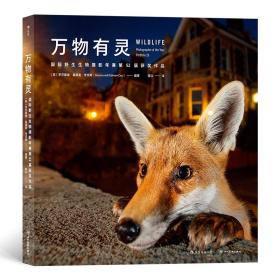 万物有灵：国际野生生物摄影年赛第52届获奖作品