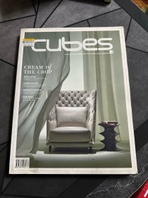 cubes 2009年4月 立方体40