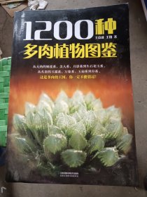 1200种多肉植物图鉴（汉竹）