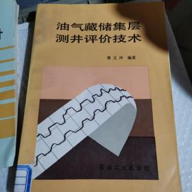 油气藏储集层测井评价技术