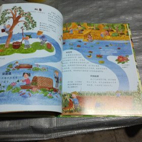 二十四节气自然绘本 让孩子了解自然的瞬息万变 科普百科绘本
