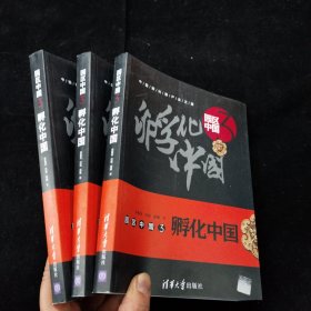 园区中国3：孵化中国 宋振庆、沈斌、梁椿 著 清华大学出版社 正版库存书