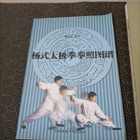 嫡传杨式太极拳教练法 杨式太极拳拳照图谱（和售）