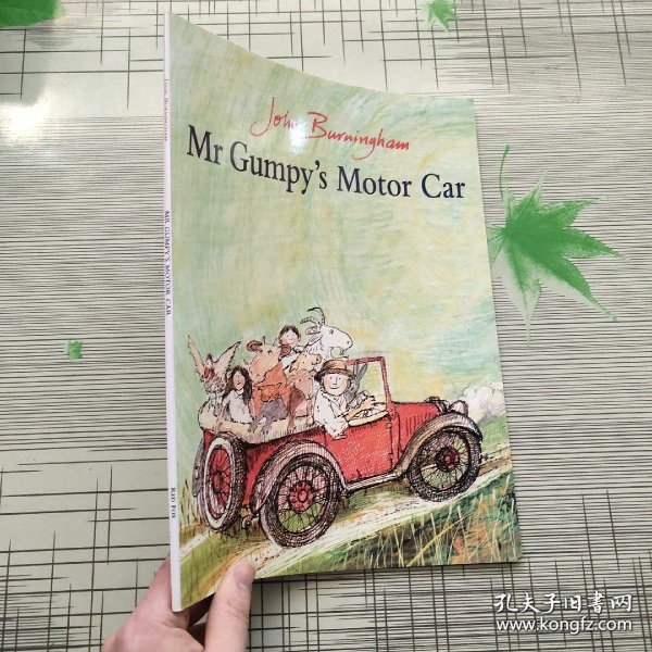 Mr Gumpy's Motor Car