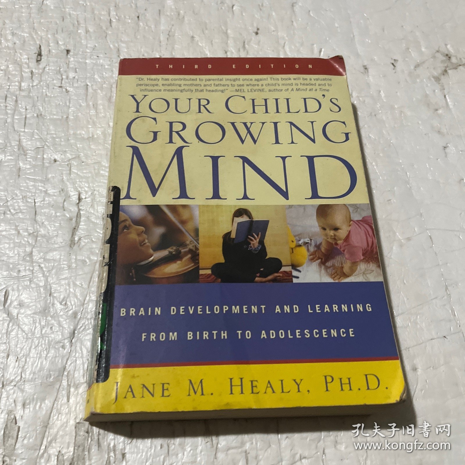 Your Child's Growing Mind: Brain Development and Learning From Birth to Adolescence