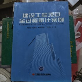 建设工程项目全过程审计案例