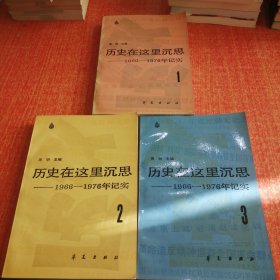 历史在这里沉思 1966-1976年记实 123 全3册合售