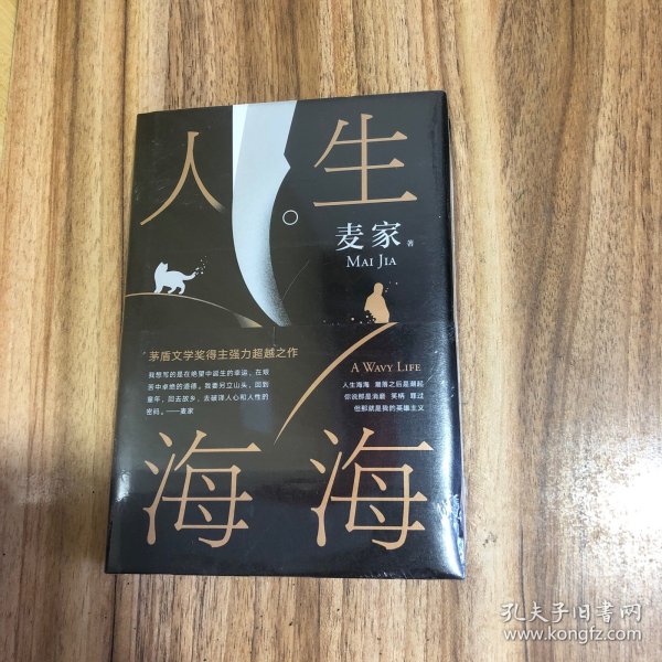 麦家：人生海海（茅盾文学奖得主麦家2019年强力之作）