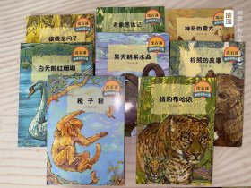 沈石溪激情动物小说系列 共八册