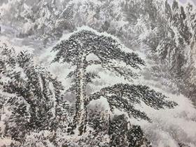 徐志学  黄山瑞雪