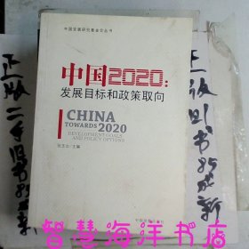 中国2020：发展目标和政策取向