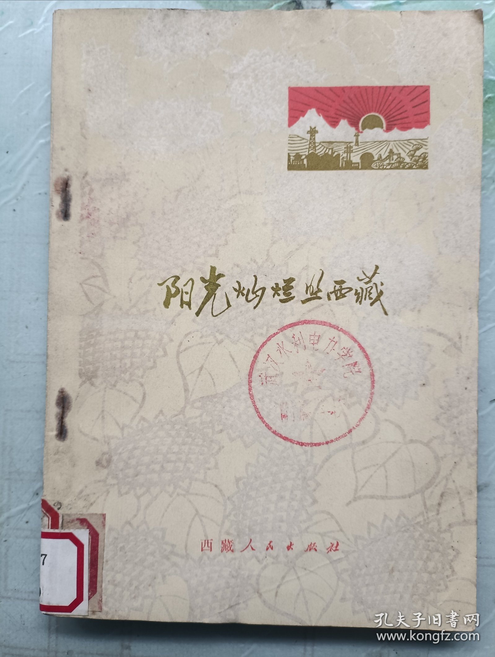 阳光灿烂照西藏