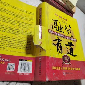 融资有道：中国中小企业融资操作技巧大全与精品案例解析（最新修订精华版）