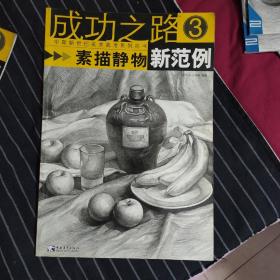 成功之路：素描静物新范例3