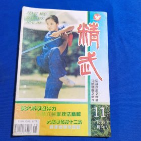 11399:精武 1995年第11期 谈大成拳整体力；大成拳化打十二式；制腿术；跆拳道防身技；矮腿技击法；