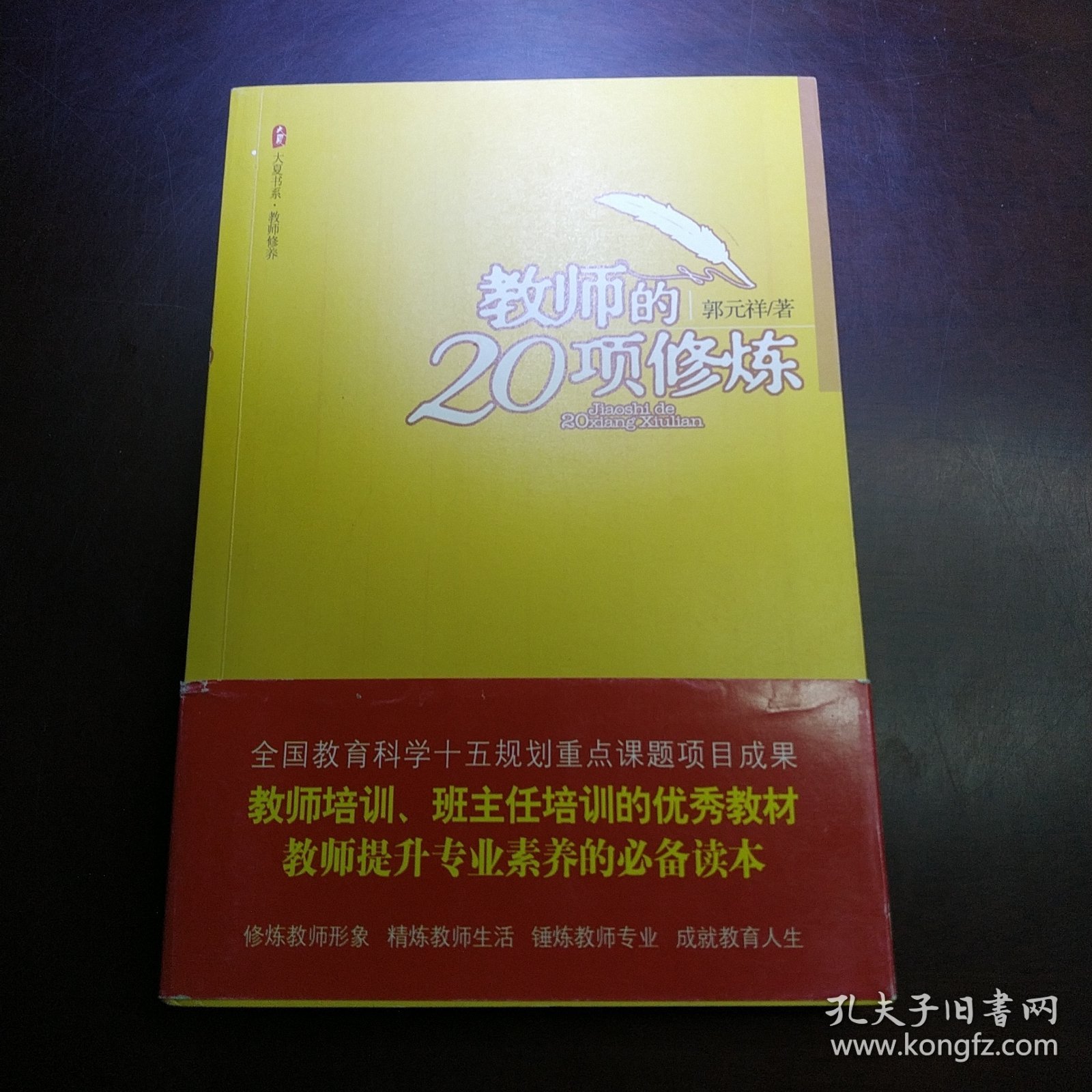 大夏书系·教师的20项修炼