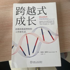 跨越式成长：思维转换重塑你的工作和生活