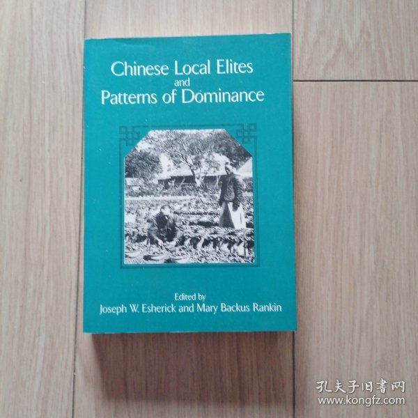 中国历史上的地方精英和统治模式Chinese Local Elites and Patterns of Dominance