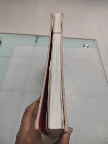 王震(大8开画册)