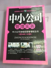 网络营销实务全书：突破传统营销平台的全新模式