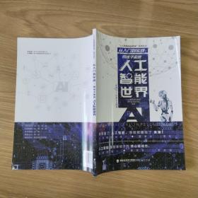 从入门到实战：带孩子走进人工智能世界（适合10-16岁少儿阅读）/“人工智能基础教育”系列丛书