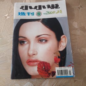 小小说选刊2000•23（总第263期）