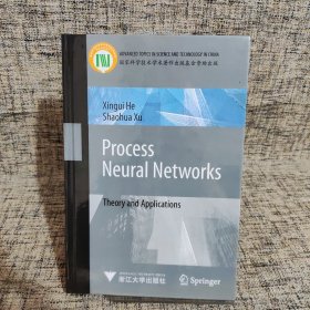 Process Neural Networks