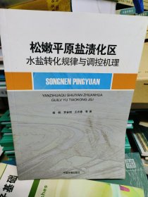 松嫩平原盐渍化区水盐转化规律与调控机理